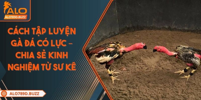 cach-tap-luyen-ga-da-co-luc