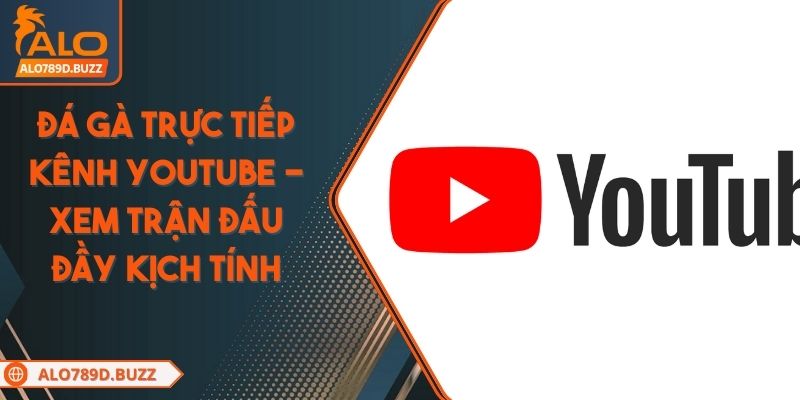 da-ga-truc-tiep-kenh-youtube
