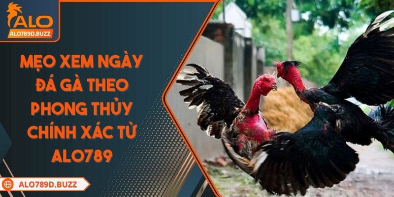 meo-xem-ngay-da-ga-theo-phong-thuy
