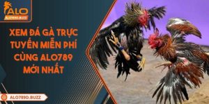 xem-da-ga-truc-tuyen-mien-phi