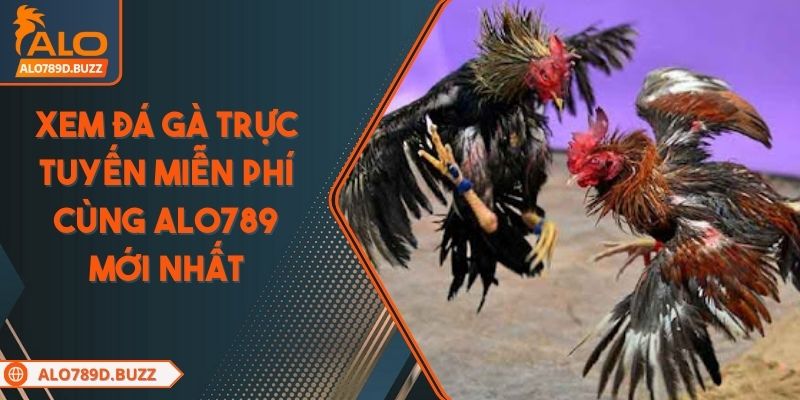xem-da-ga-truc-tuyen-mien-phi