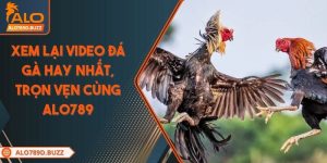 xem-lai-video-da-ga-hay-nhat