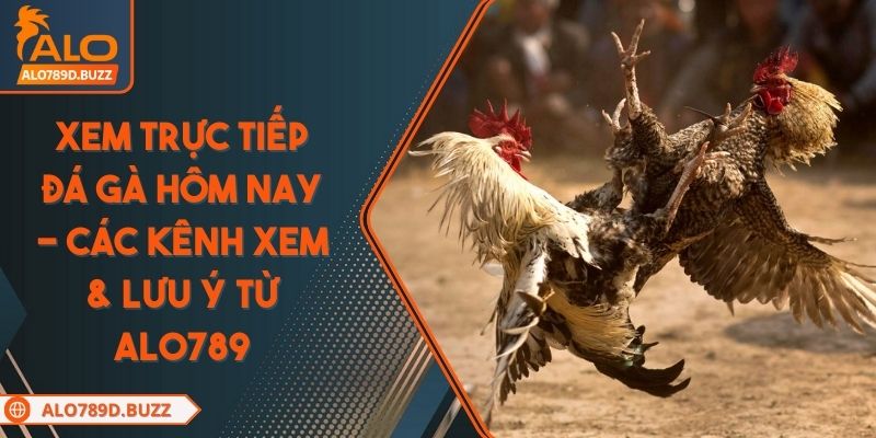 xem-truc-tiep-da-ga-hom-nay